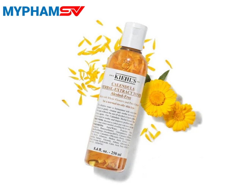 Top các loại toner tốt nhất hiện nay được nhiều người tin dùng